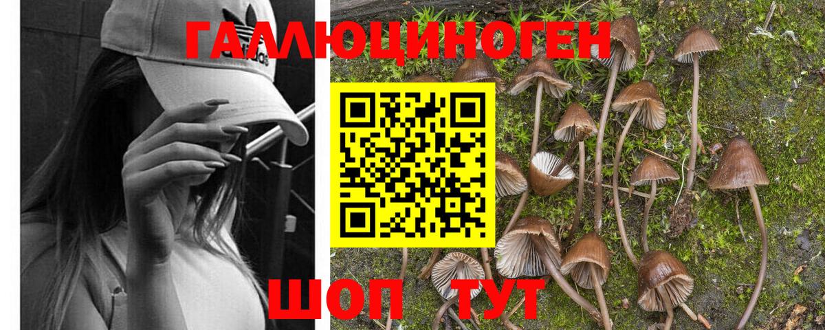 Сатка  Галлюциногенные грибы Cubensis  даркнет сайт  Вход с VPN  Галлюциногенные грибы MAGIC MUSHROOMS 